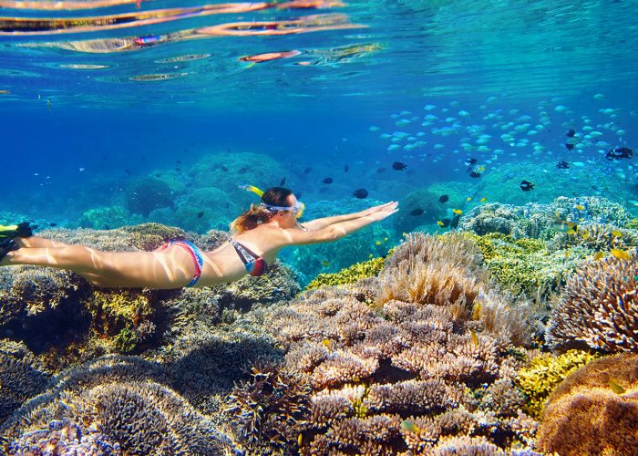 5 Ultimate Things to Do When Visiting Hawaii